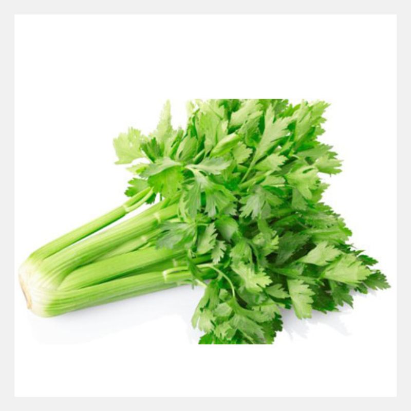 Celery F1 Seeds