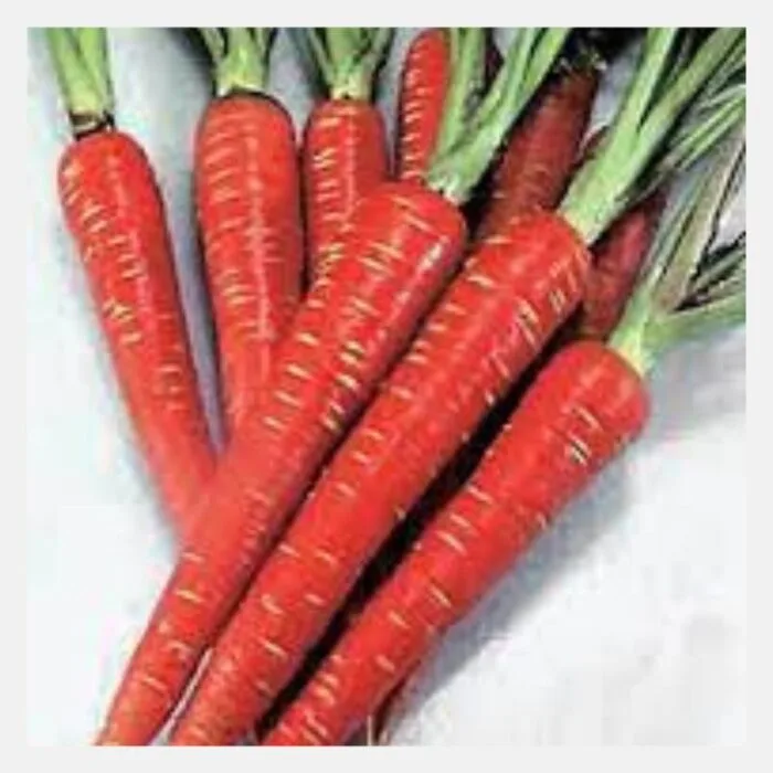 Carrot (Gajar) Seeds