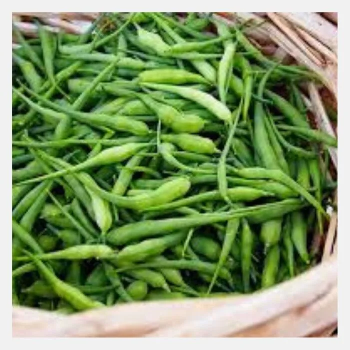 Radish Pods (Mongery) Seeds