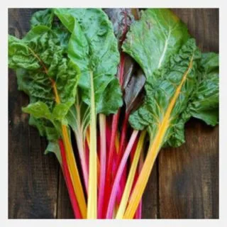 swiss chard