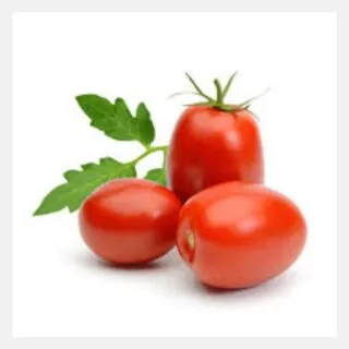 tamatar