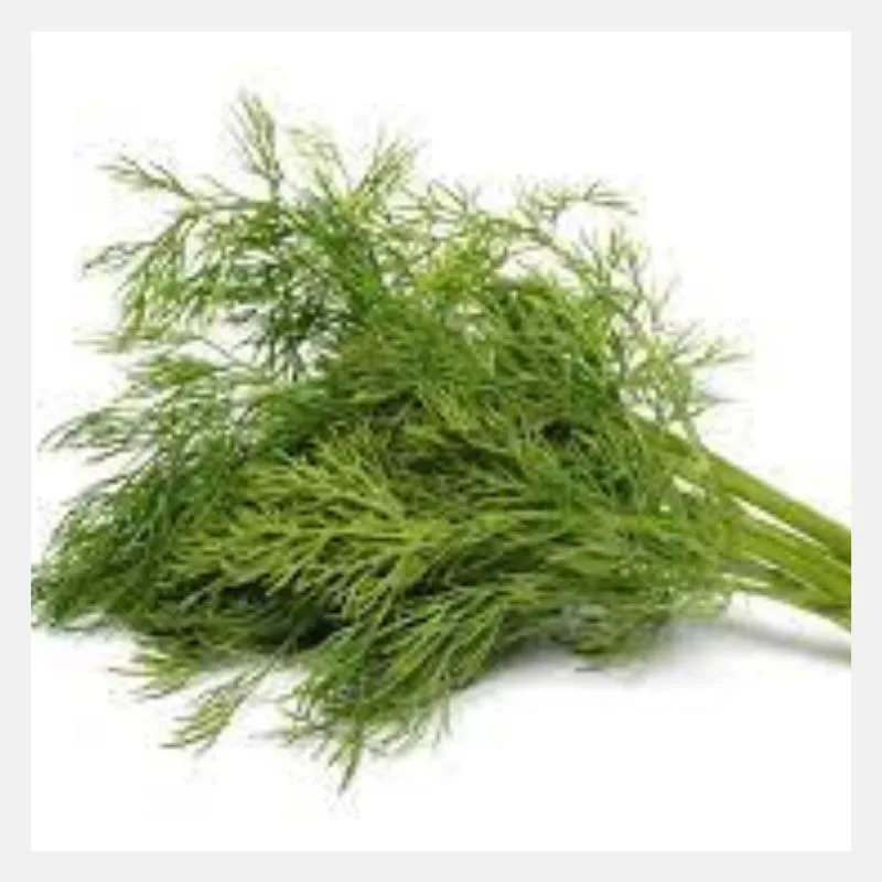 Dill Seeds
