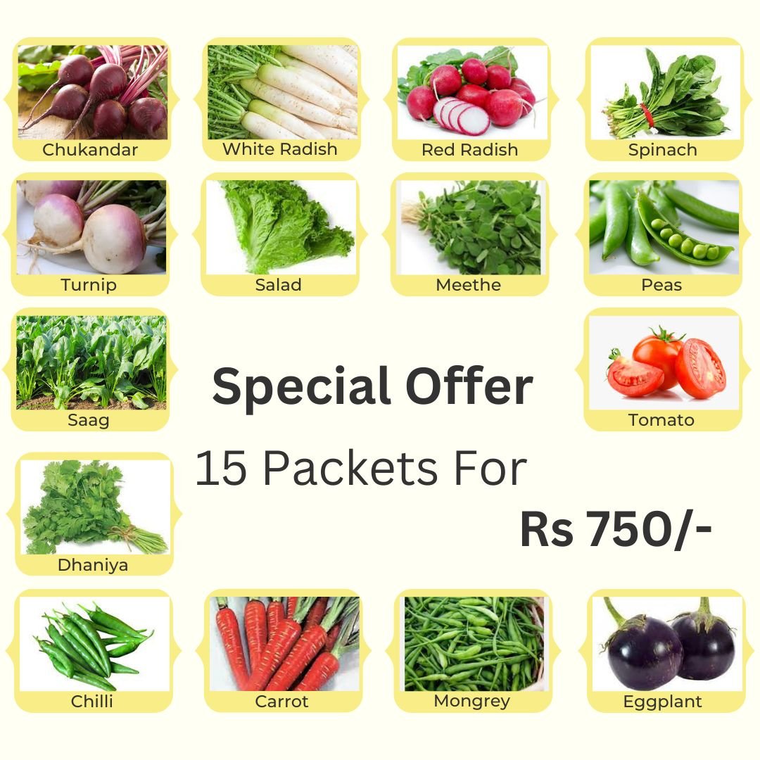summer deal (2)