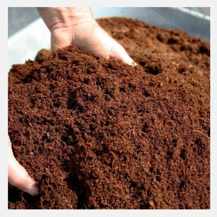 Coco Peat 800 Gm Pack