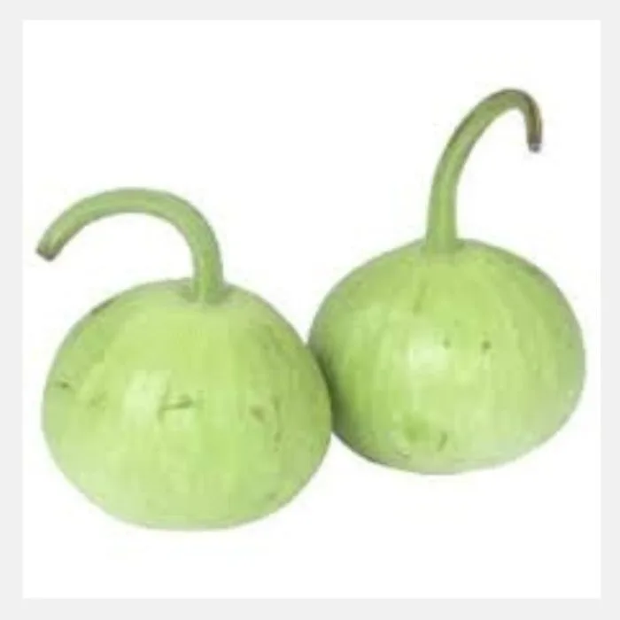 Round Gourd (Ghia Kadu) F-1 Seeds