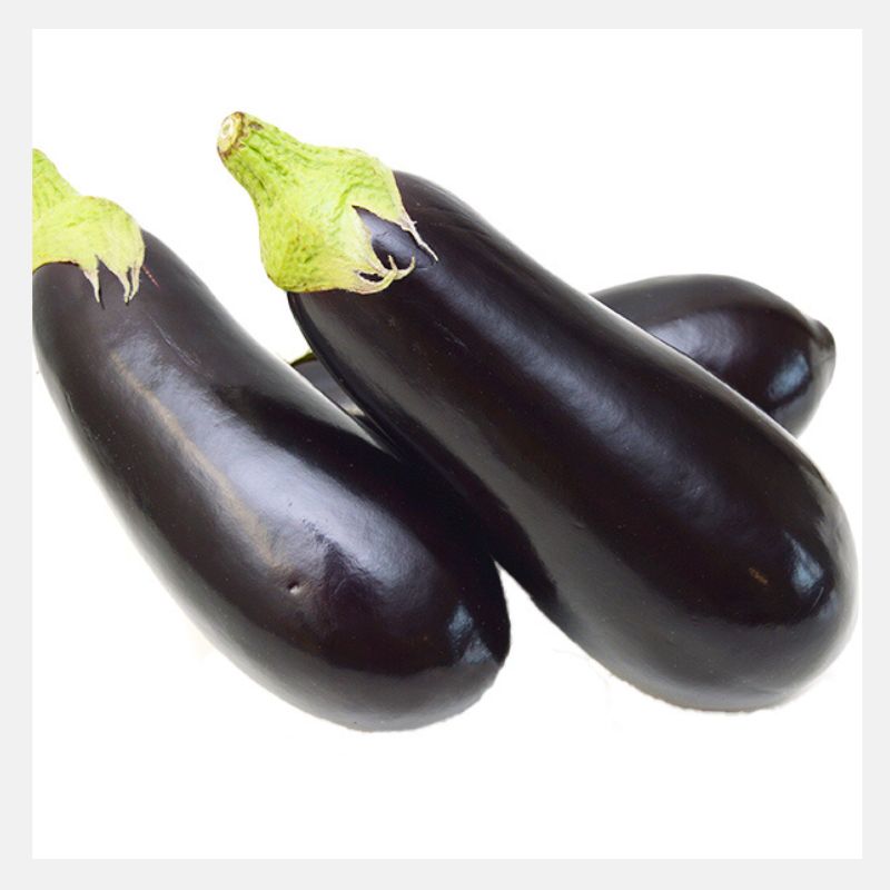 Eggplant long