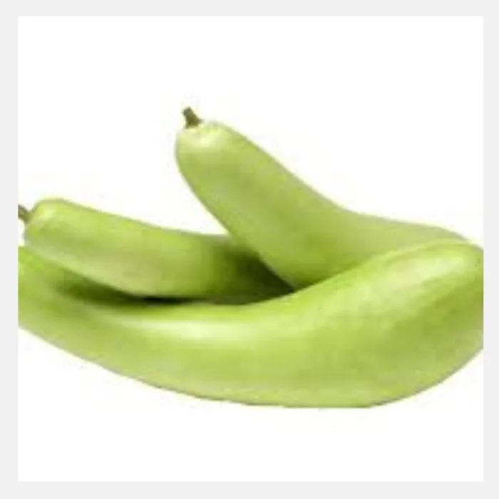 Bottle Gourd (Loki) Seeds