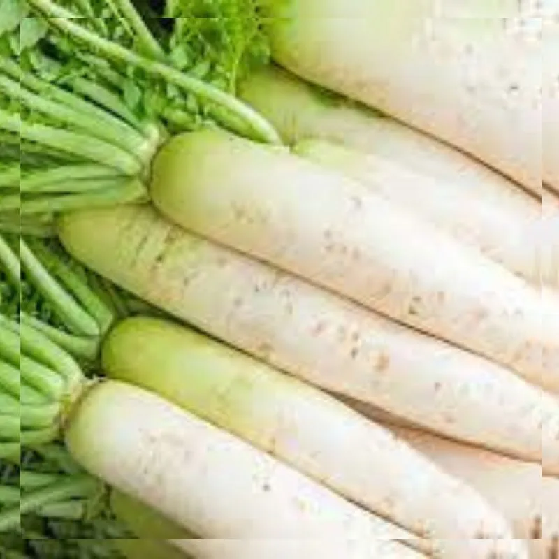 white radish