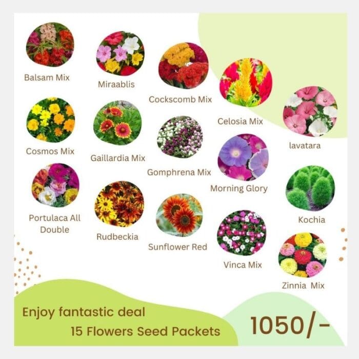 Summer Flower Seeds Deal