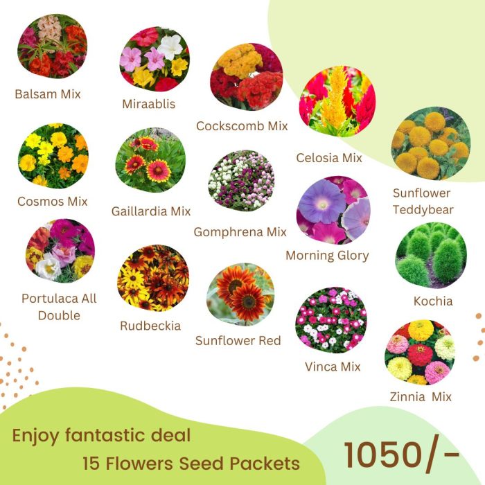 Summer Flower Deal