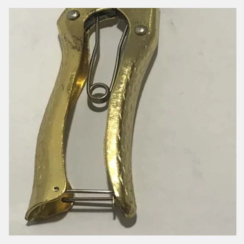 Pruner (BH-30) 1