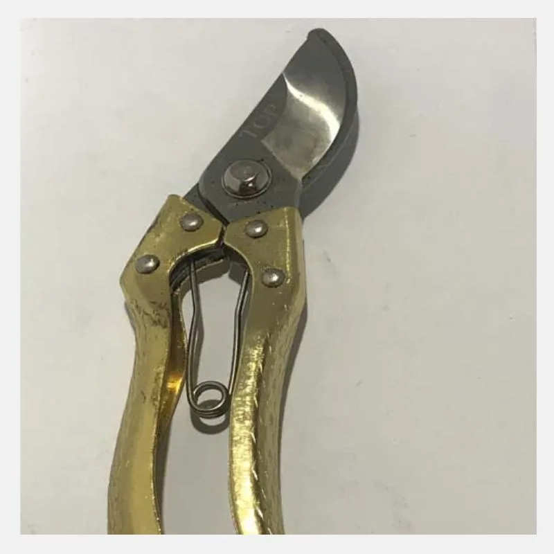 Pruner (BH-30)