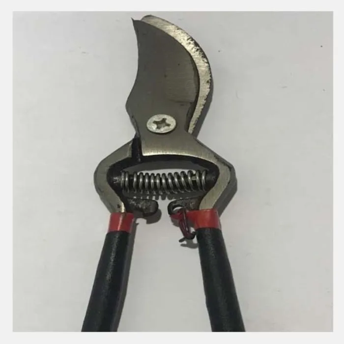 Pruner (BH-40)