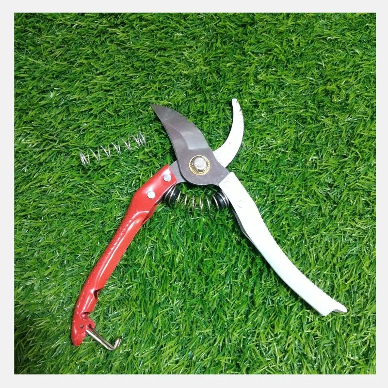 Pruner (BH-800) (1)