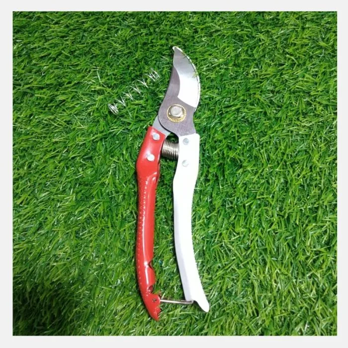 Pruner (BH-800)