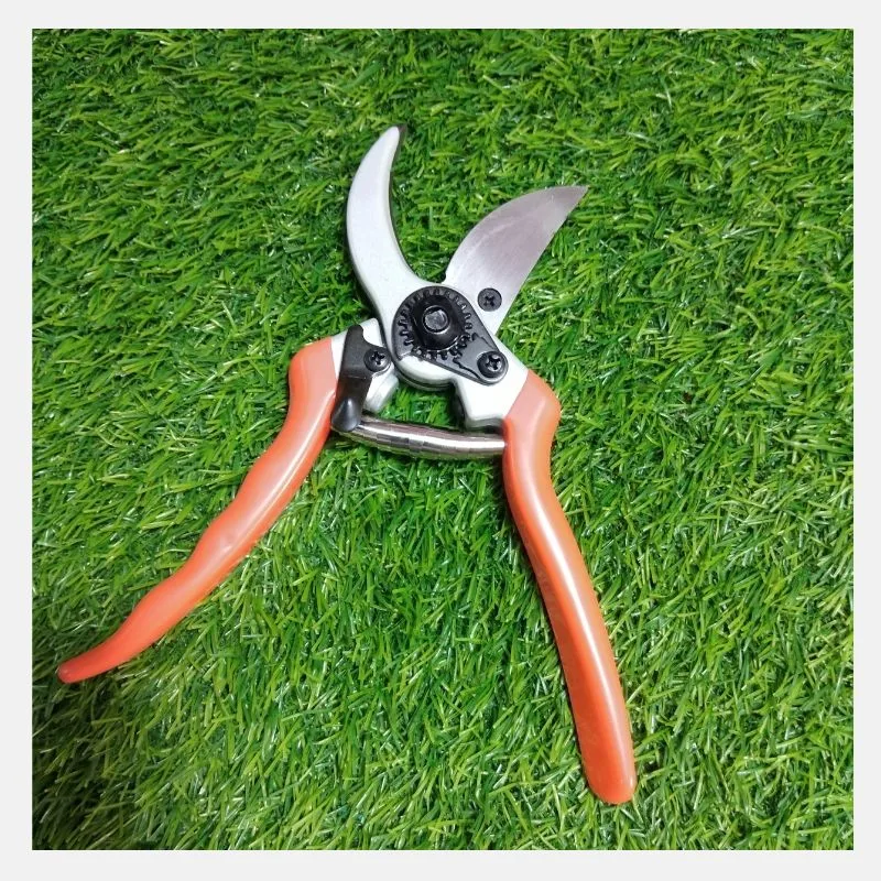 Pruner (BH-90) (1)