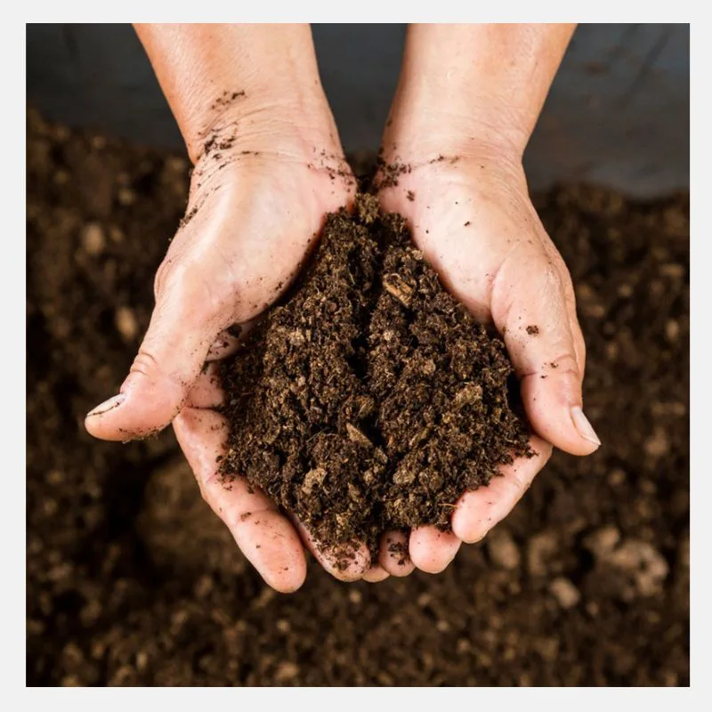 peat moss 3l
