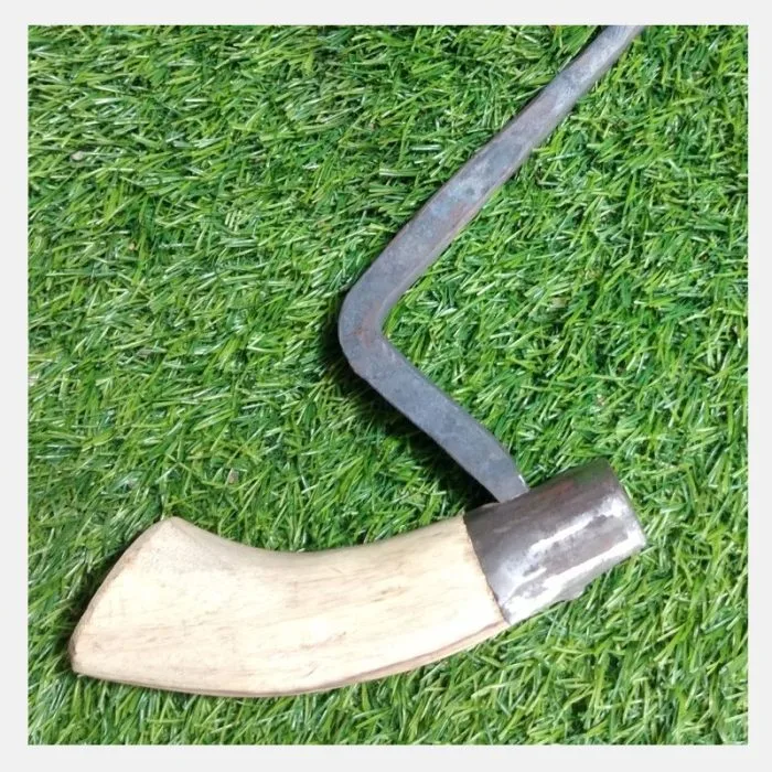 Ramba (4 - 4.5 Inches) - Image 2
