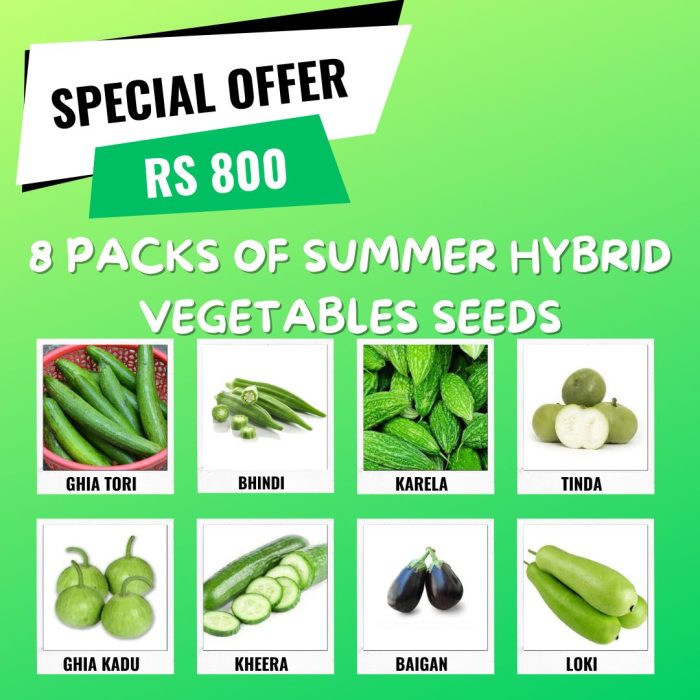 Summer veg deal