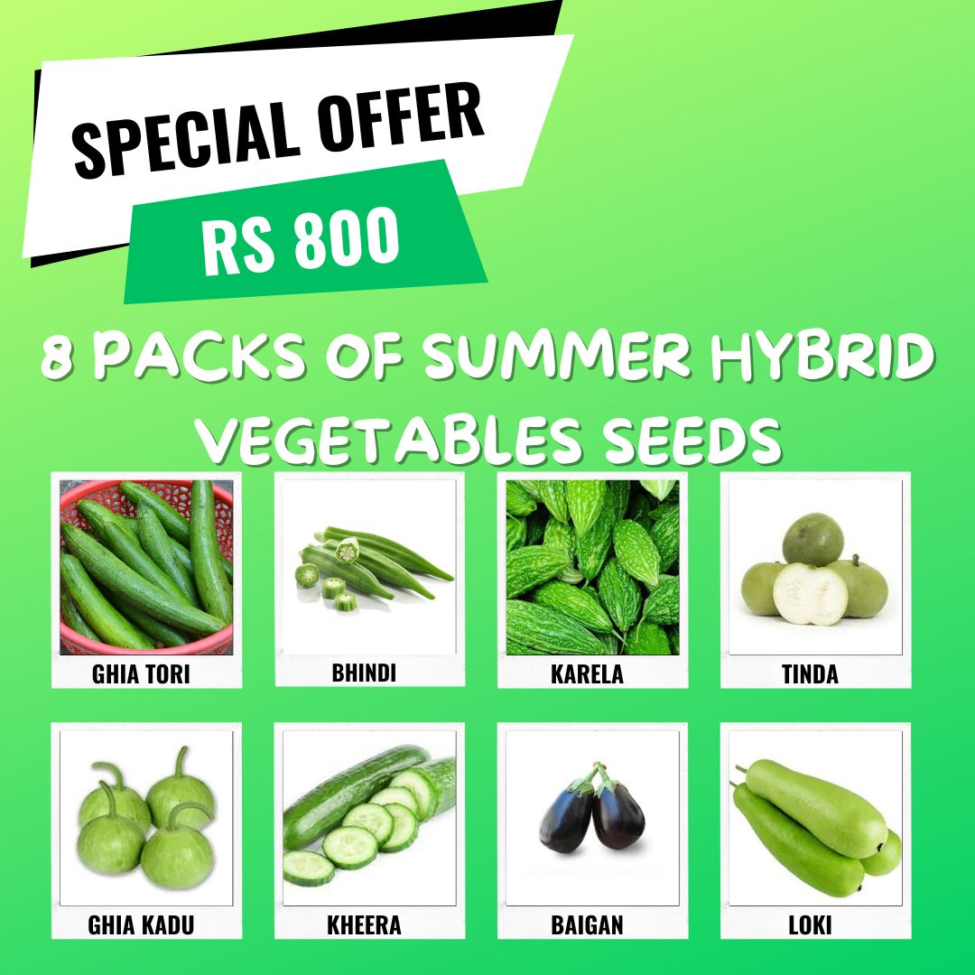 Summer veg deal (1)
