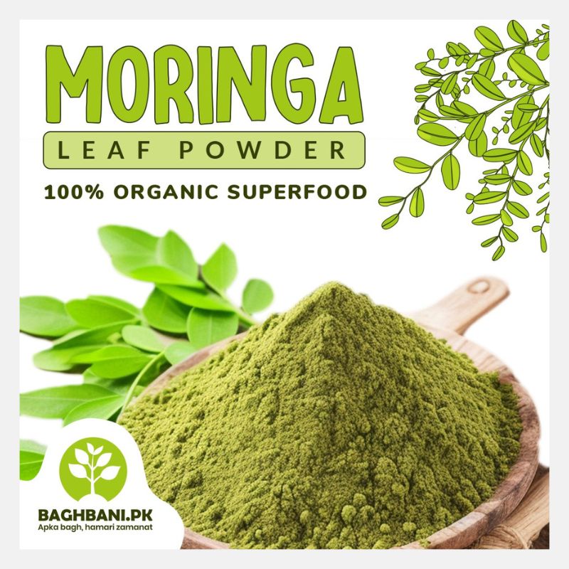 moringa 1