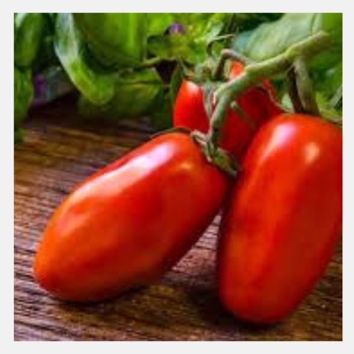 San Marzano tomato