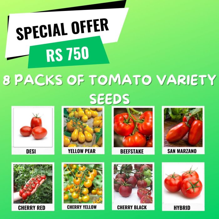 8 Pack of Tomato Varieties Seeds